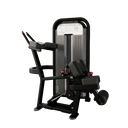 Nautilus Impact Kneeling Leg Curl - Cardio