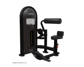 Nautilus Instinct Dual Abdominal / Lower Back