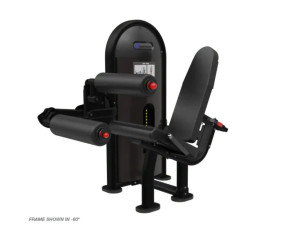 Nautilus Instinct Leg Curl