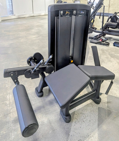 Insignia Series Leg Curl