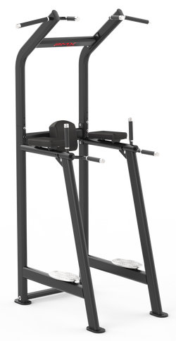 Essential Vertical Knee Raise/Chin/Dip Image