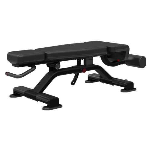 Nautilus Adjustable Decline Bench