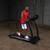 Body Solid Endurance Walking Treadmill