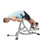 Hoist Fitness Hf-5664 Ab/Back Roman Hyper