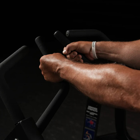 Life Fitness Hammer Strength Plate-Loaded Iso-Lateral Row