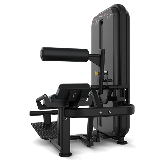 Vision AB / Low Back Exercise Machine - Cardio
