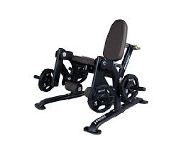 Hoist Fitness CF-3401 Leg Extension