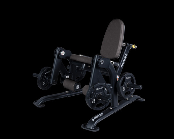Hoist Fitness CF-3401 Leg Extension