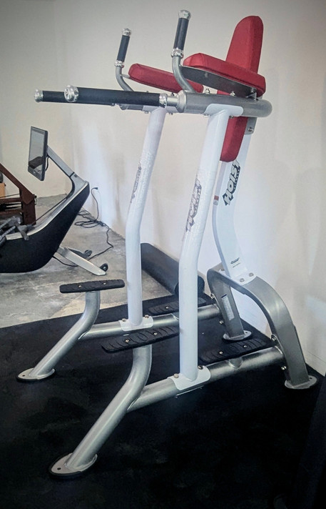 Hoist Fitness CF-3252 Vertical Knee Raise / Dip