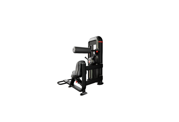 Nautilus Inspiration®  Back Extension - Cardio