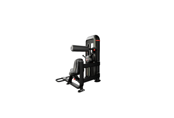 Nautilus Inspiration®  Back Extension - Cardio