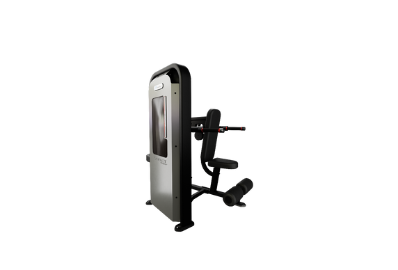 Nautilus Impact Dip Machine - Cardio