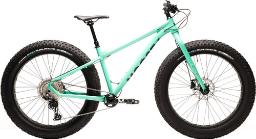 Teal|Sarcelle|PRI
