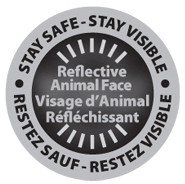 Silver Fox|Renard argenté