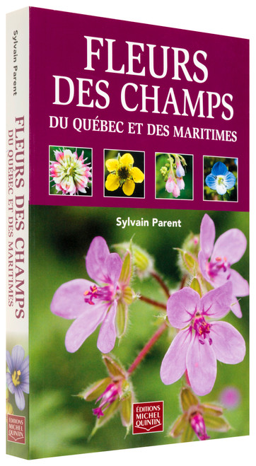 NO_COLOUR|NO_COLOUR|PRI