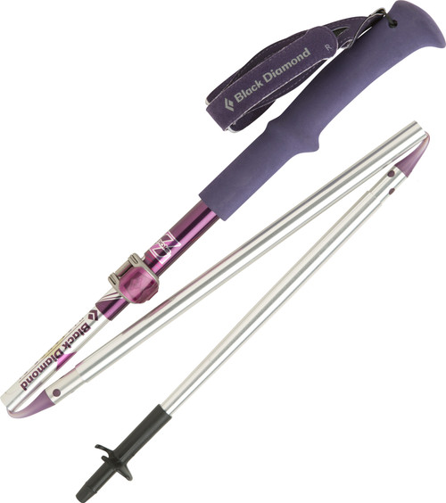 Raspberry Radiance|Framboise lumineuse