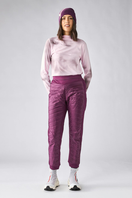 Elderberry|Sureau|PRI