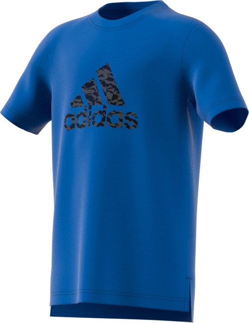 Collegiate Royal|Royal collégial|PRI