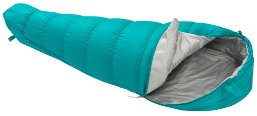 Tidal Teal|Sarcelle d’hiver