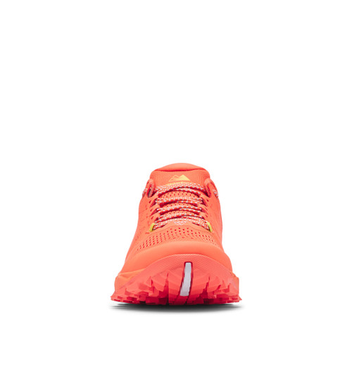 Zing/Grey Ice|Zing/Grey Ice