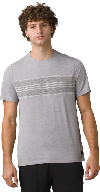 Grey Stripe|Rayures grises