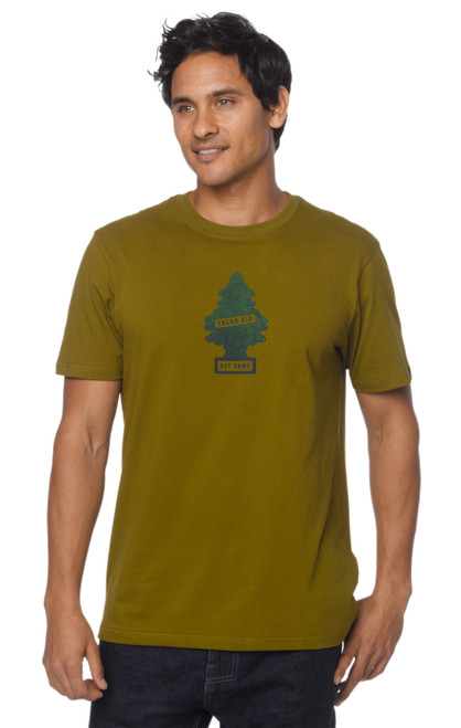 Saguaro|Cactus saguaro|PRI