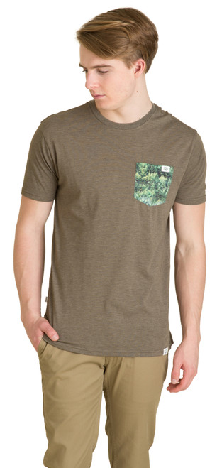 Dark Olive|Olive Sombre|PRI