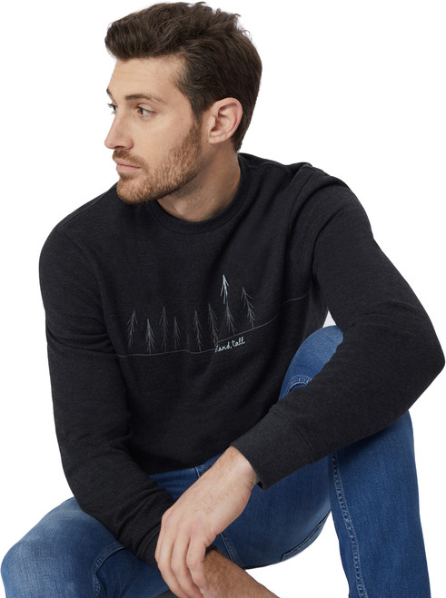 Meteorite|Meteorite|PRI