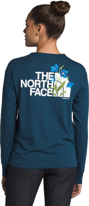 Blue Wing Teal|Blue Wing Teal