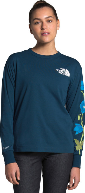 Blue Wing Teal|Blue Wing Teal|PRI