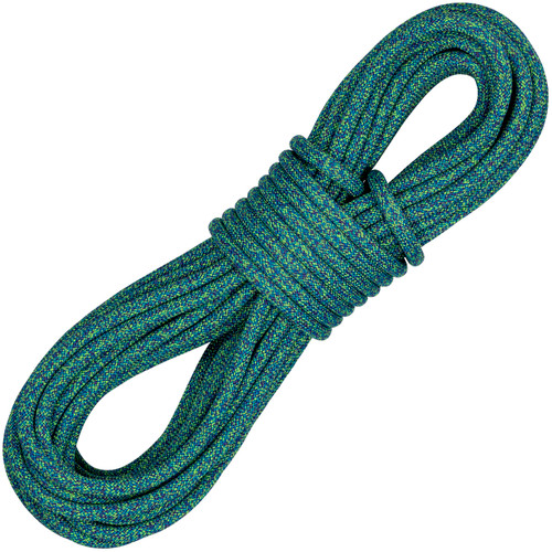 Teal|Sarcelle d’hiver|PRI