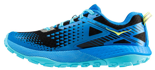 Blue Aster/Black|Blue Aster/Black