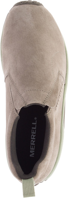 Brindle/Tea|Brindille/Thé