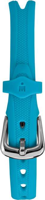 Teal|Sarcelle d’hiver