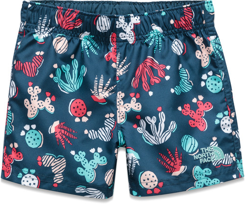 Blue Wing Teal Cactus Pri|Blue Wing Teal Cactus Pri|PRI