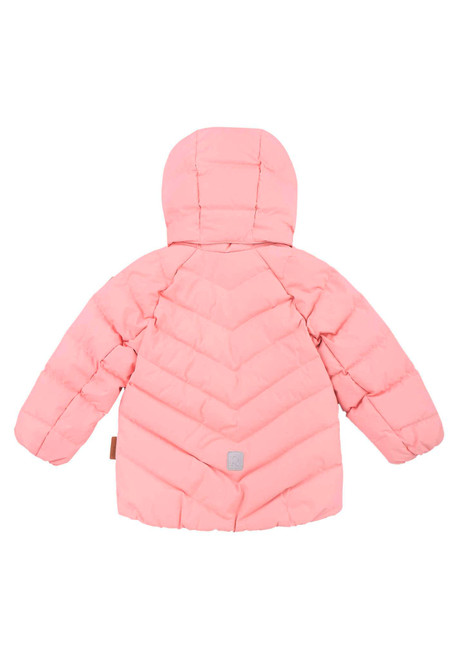 Powder Pink|Powder Pink