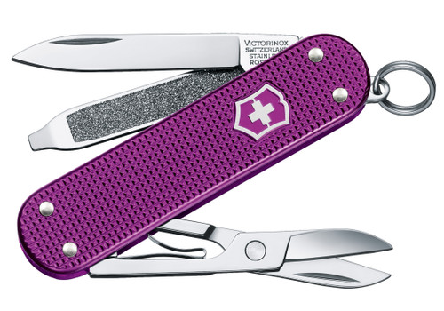 Orchid Violet|Orchid Violet|PRI