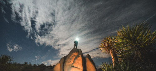 Reflective Grey|Gris réfléchissant