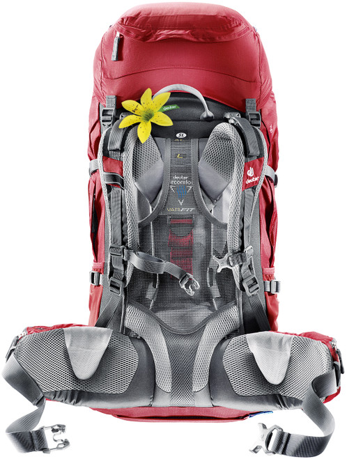 Cranberry/Fire|Canneberge/Feu