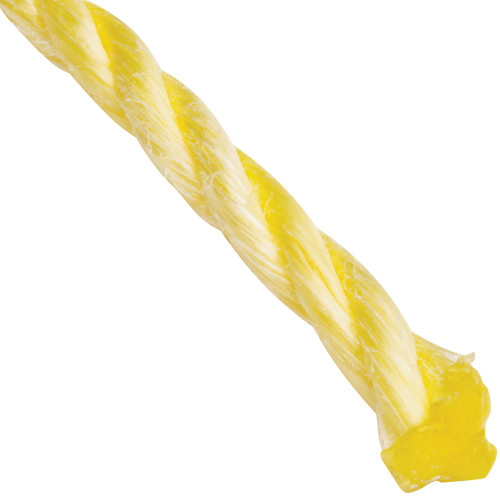 NO_COLOUR|NO_COLOUR|PRI