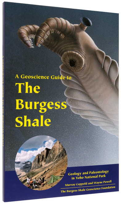 NO_COLOUR|NO_COLOUR|PRI