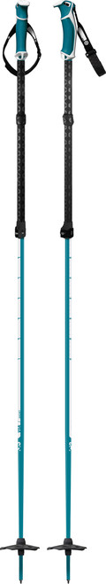 Teal|Sarcelle|PRI