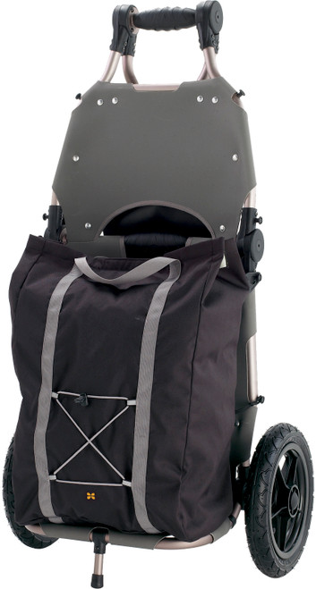 Champagne/Grey|Champagne/Gris