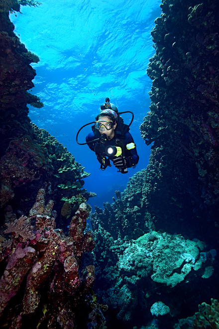 Neon Yellow|Jaune néon