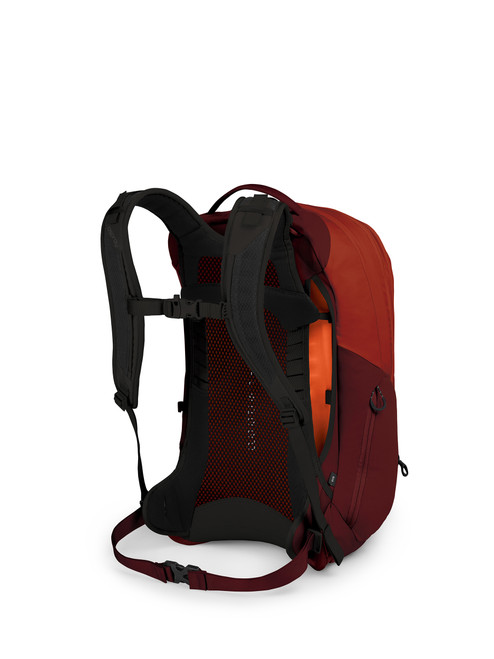 Rise Orange|Orange ensoleillé