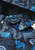 Navy Animals|Animaux marines|ALT