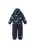 Navy Fox|Marine Renard|ALT