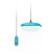 Teal|Sarcelle|ALT