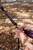 Plum|Prune|ALT