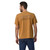 P-6 Outline: Golden Camel|Tracé P-6 : Chameau d'or|ALT